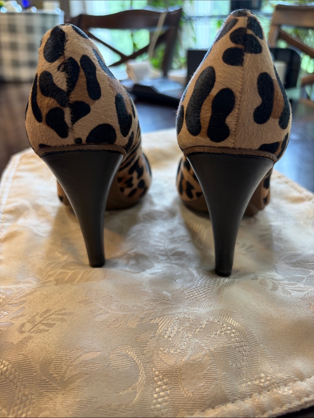 Coach Leopard-Print Bow Pumps in Tan and Black - Picture 4 of 9